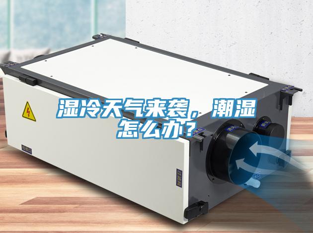 湿冷天气来袭，潮湿怎么办？