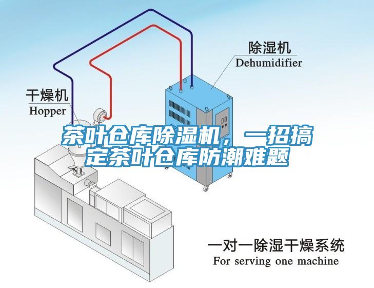 茶叶仓库91香蕉视频下载网站，一招搞定茶叶仓库防潮难题