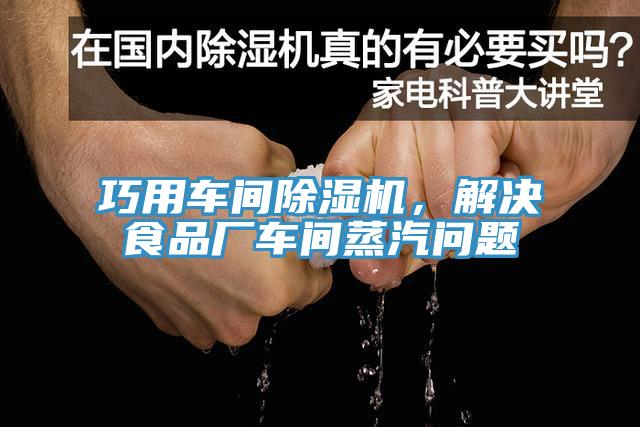 巧用车间91香蕉视频下载网站，解决食品厂车间蒸汽问题
