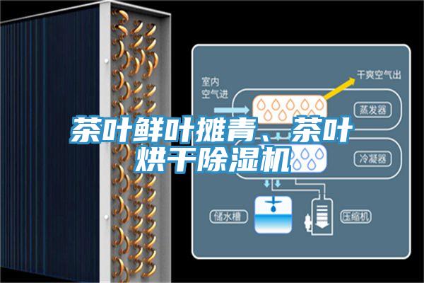 茶叶鲜叶摊青、茶叶烘干91香蕉视频下载网站