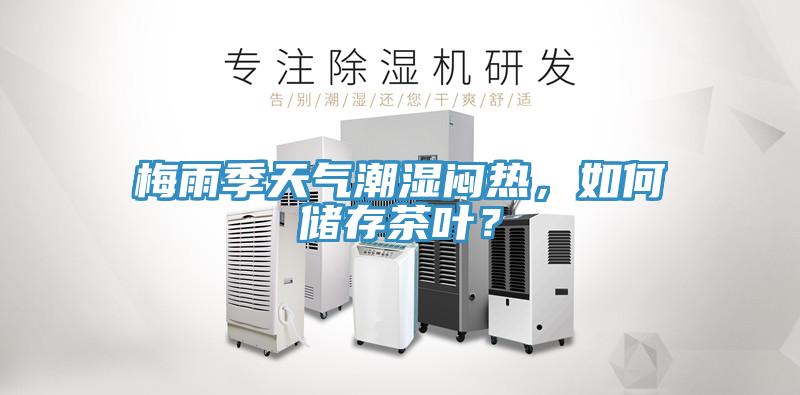 梅雨季天气潮湿闷热，如何储存茶叶？