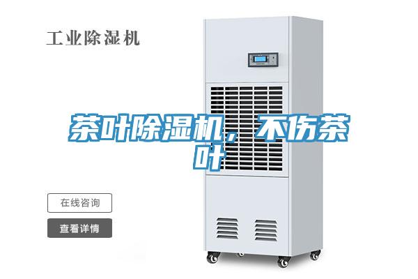 茶叶91香蕉视频下载网站，不伤茶叶
