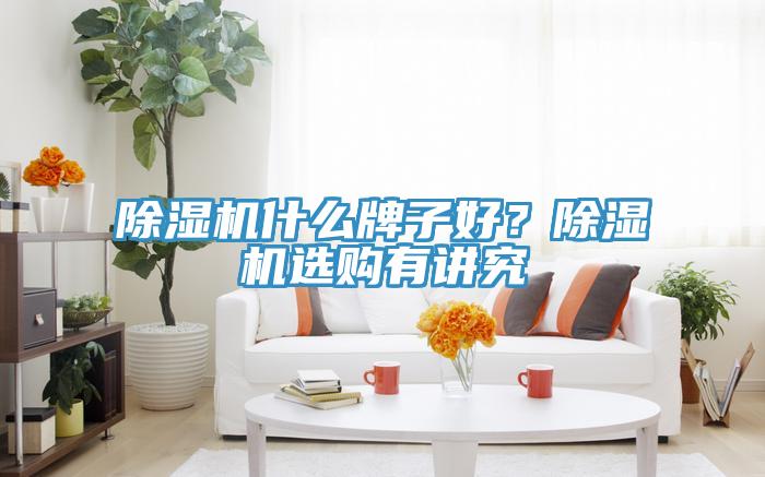 91香蕉视频下载网站什么牌子好？91香蕉视频下载网站选购有讲究