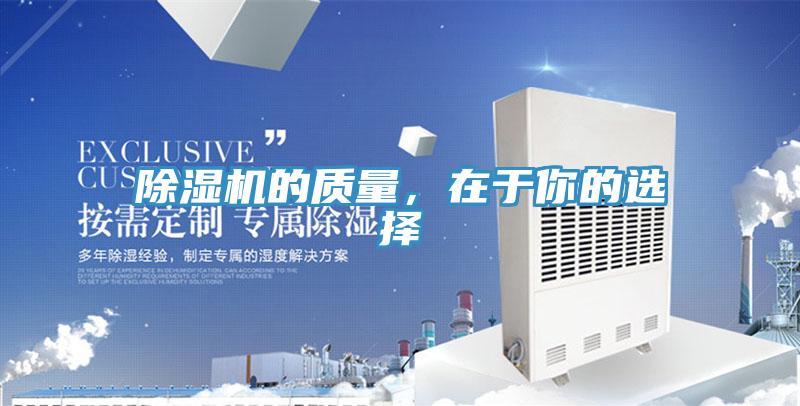 91香蕉视频下载网站的质量，在于你的选择