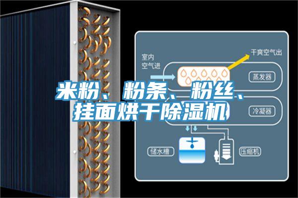米粉、粉条、粉丝、挂面烘干91香蕉视频下载网站
