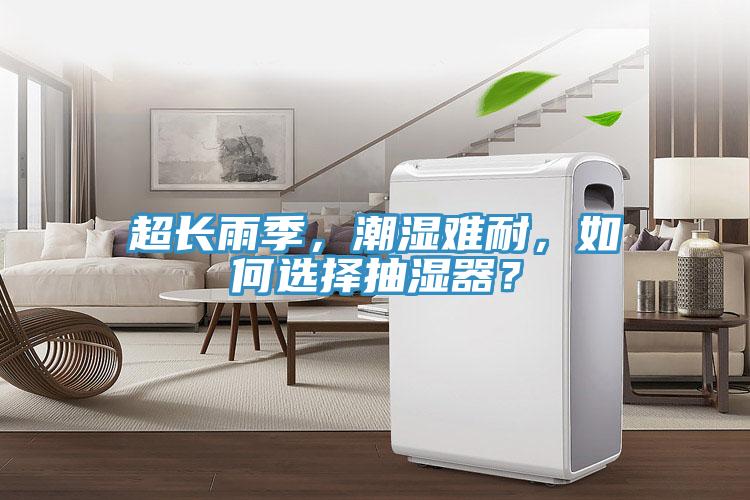 超长雨季，潮湿难耐，如何选择抽湿器？