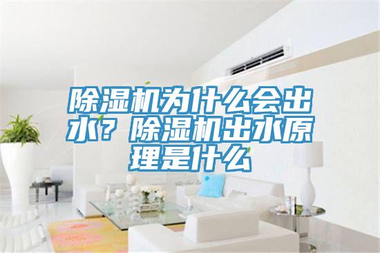 91香蕉视频下载网站为什么会出水？91香蕉视频下载网站出水原理是什么
