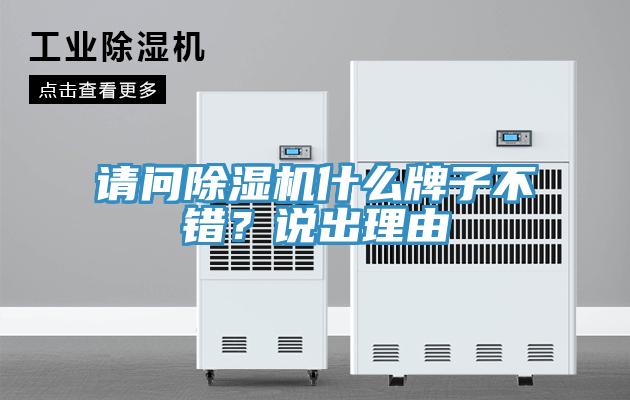 请问91香蕉视频下载网站什么牌子不错？说出理由