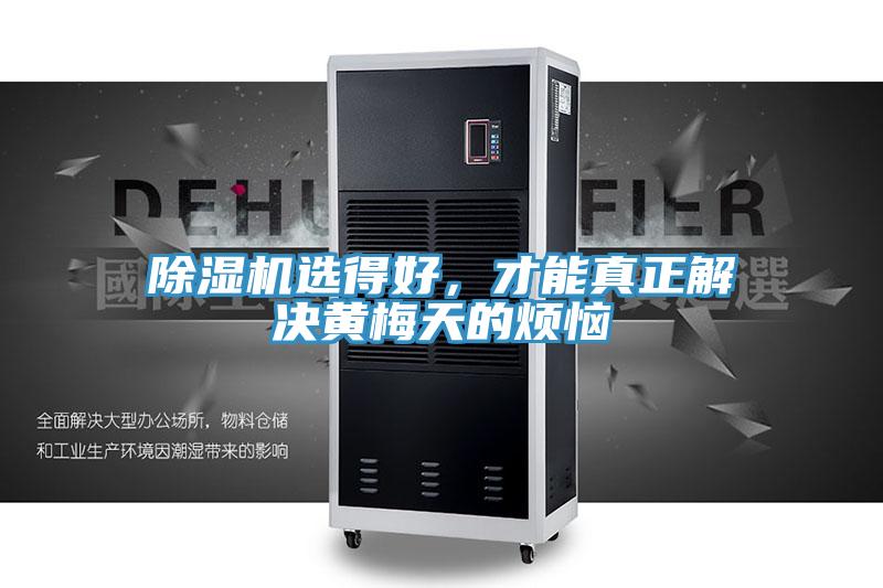 91香蕉视频下载网站选得好，才能真正解决黄梅天的烦恼