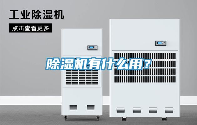 91香蕉视频下载网站有什么用？