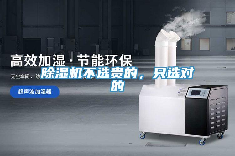 91香蕉视频下载网站不选贵的，只选对的