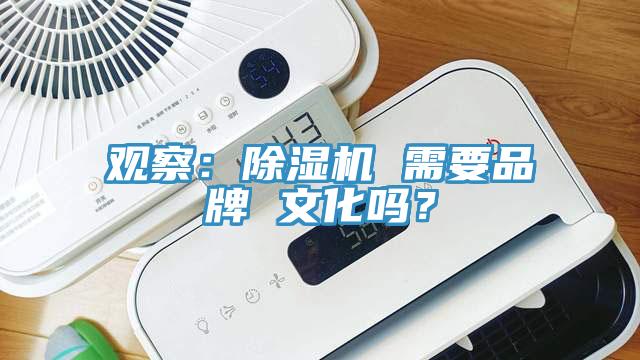 观察：91香蕉视频下载网站 需要品牌 文化吗？