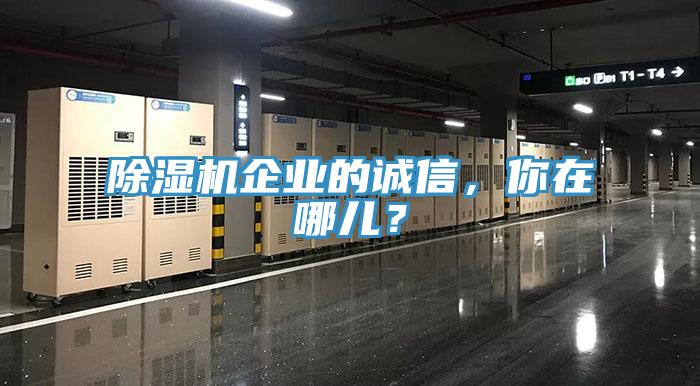 91香蕉视频下载网站企业的诚信，你在哪儿？