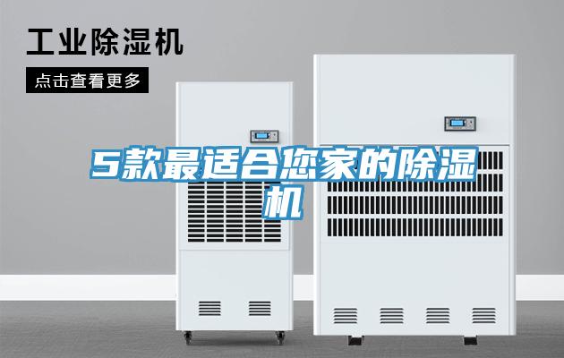 5款最适合您家的91香蕉视频下载网站