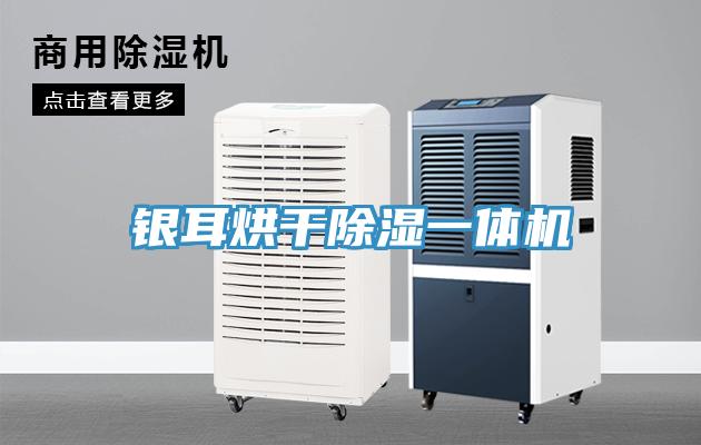 银耳烘干除湿一体机