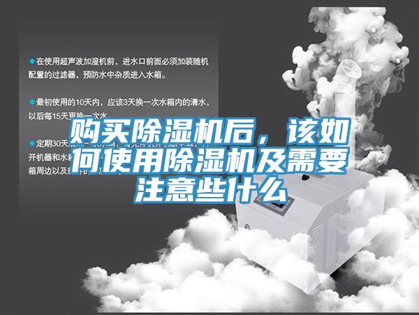 购买91香蕉视频下载网站后，该如何使用91香蕉视频下载网站及需要注意些什么
