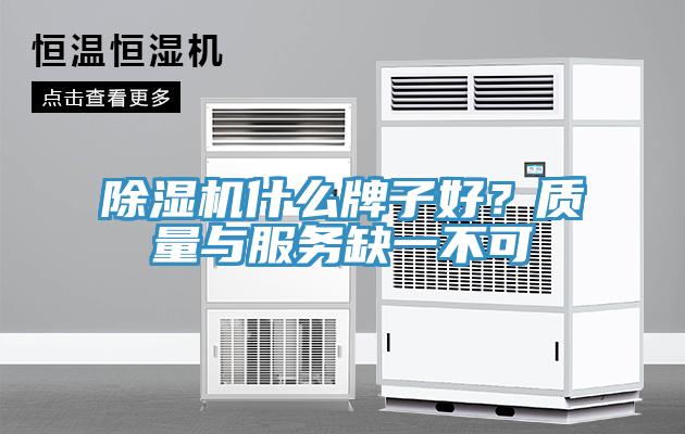 91香蕉视频下载网站什么牌子好？质量与服务缺一不可