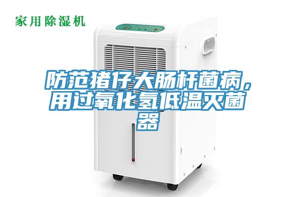 防范猪仔大肠杆菌病，用过氧化氢低温灭菌器