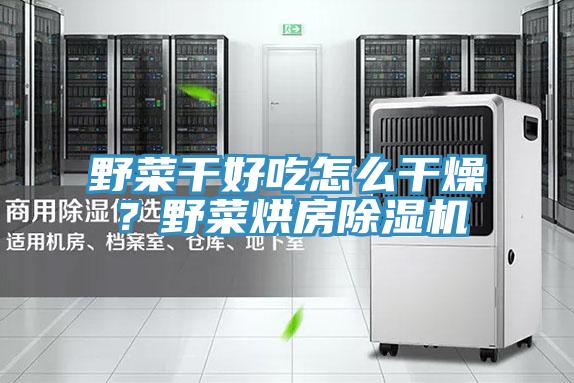 野菜干好吃怎么干燥？野菜烘房91香蕉视频下载网站
