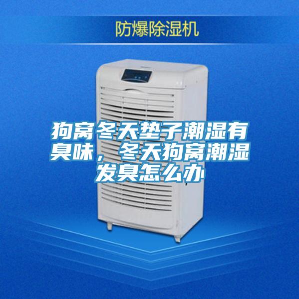 狗窝冬天垫子潮湿有臭味，冬天狗窝潮湿发臭怎么办