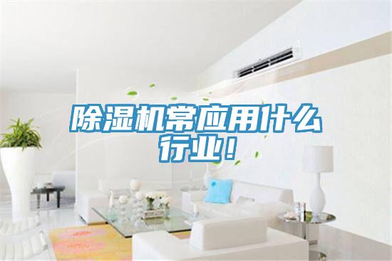 91香蕉视频下载网站常应用什么行业！