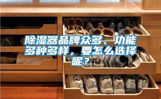 除湿器品牌众多、功能多种多样，要怎么选择呢？