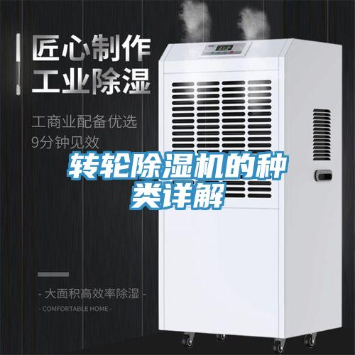 转轮91香蕉视频下载网站的种类详解