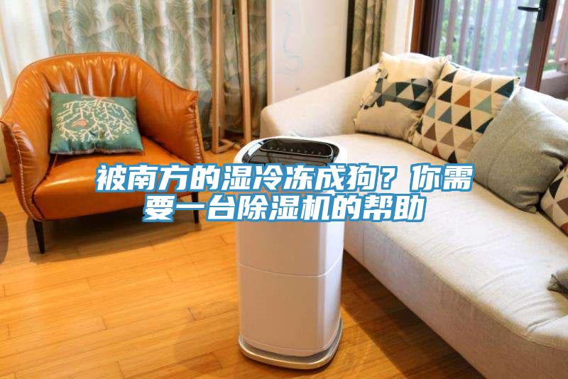 被南方的湿冷冻成狗？你需要一台91香蕉视频下载网站的帮助