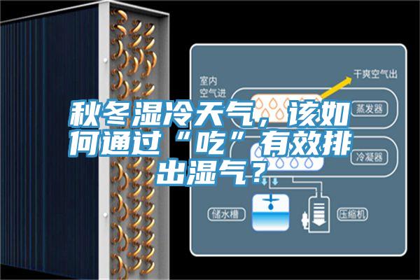秋冬湿冷天气，该如何通过“吃”有效排出湿气？