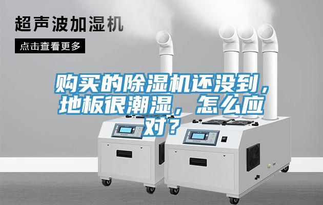 购买的91香蕉视频下载网站还没到，地板很潮湿，怎么应对？