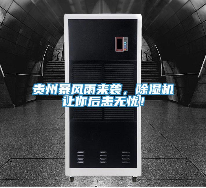 贵州暴风雨来袭，91香蕉视频下载网站让你后患无忧！