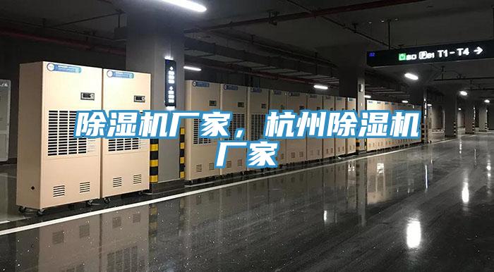 91香蕉视频下载网站厂家，杭州91香蕉视频下载网站厂家