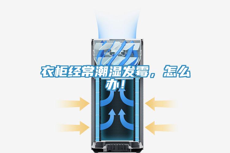 衣柜经常潮湿发霉，怎么办！