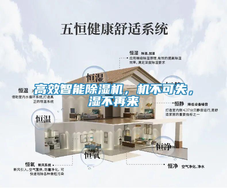 高效智能91香蕉视频下载网站，机不可失，湿不再来