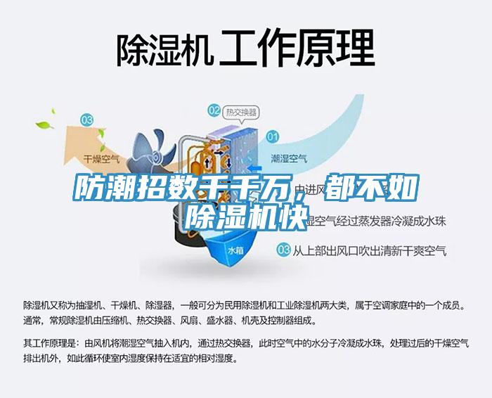 防潮招数千千万，都不如91香蕉视频下载网站快
