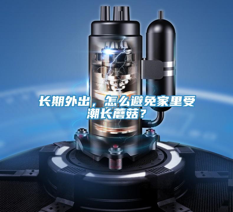长期外出，怎么避免家里受潮长蘑菇？