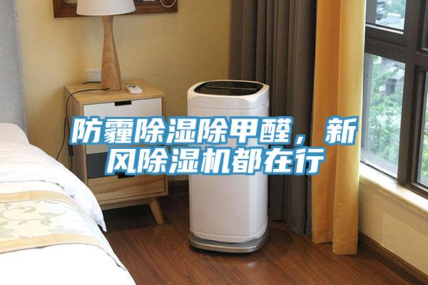 防霾除湿除甲醛，新风91香蕉视频下载网站都在行