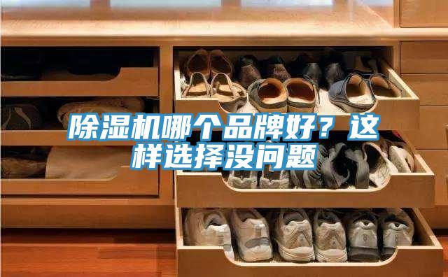 91香蕉视频下载网站哪个品牌好？这样选择没问题