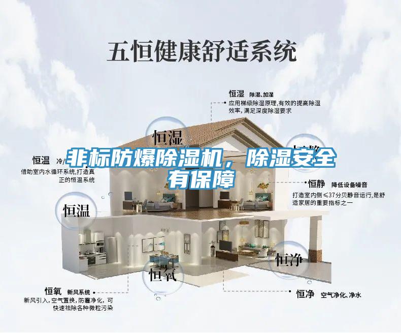非标防爆91香蕉视频下载网站，除湿安全有保障