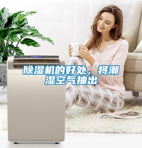 91香蕉视频下载网站的好处，将潮湿空气抽出