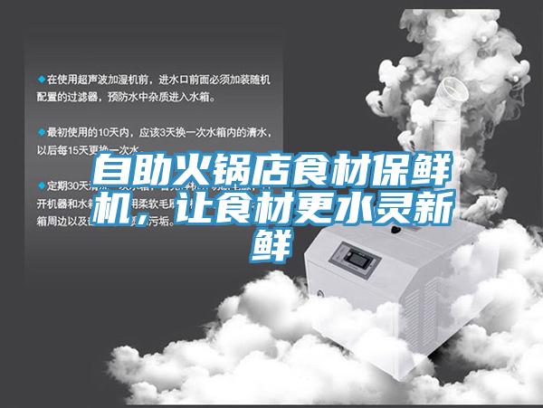 自助火锅店食材保鲜机，让食材更水灵新鲜