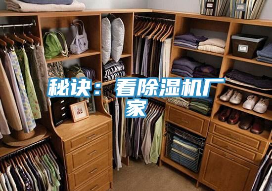 秘诀：看91香蕉视频下载网站厂家