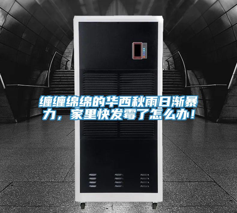 缠缠绵绵的华西秋雨日渐暴力，家里快发霉了怎么办！
