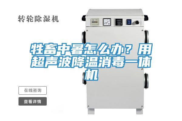 牲畜中暑怎么办？用超声波降温消毒一体机