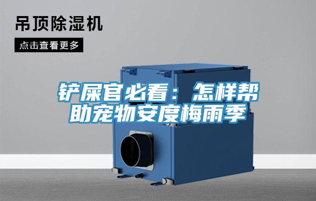 铲屎官必看：怎样帮助宠物安度梅雨季