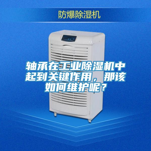 轴承在工业91香蕉视频下载网站中起到关键作用，那该如何维护呢？