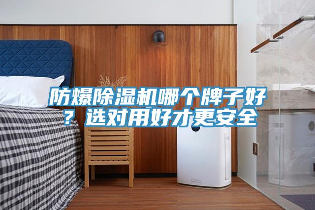 防爆91香蕉视频下载网站哪个牌子好？选对用好才更安全