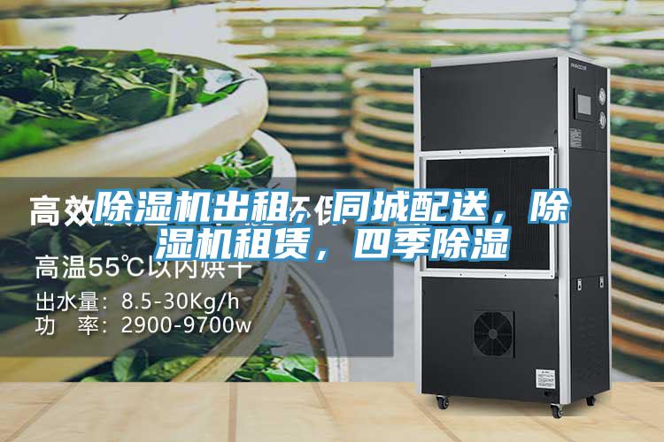 91香蕉视频下载网站出租，同城配送，91香蕉视频下载网站租赁，四季除湿