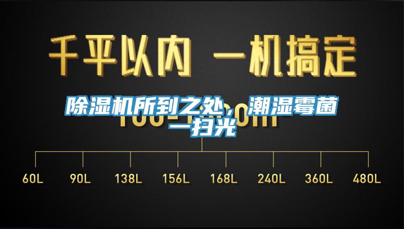 91香蕉视频下载网站所到之处，潮湿霉菌一扫光