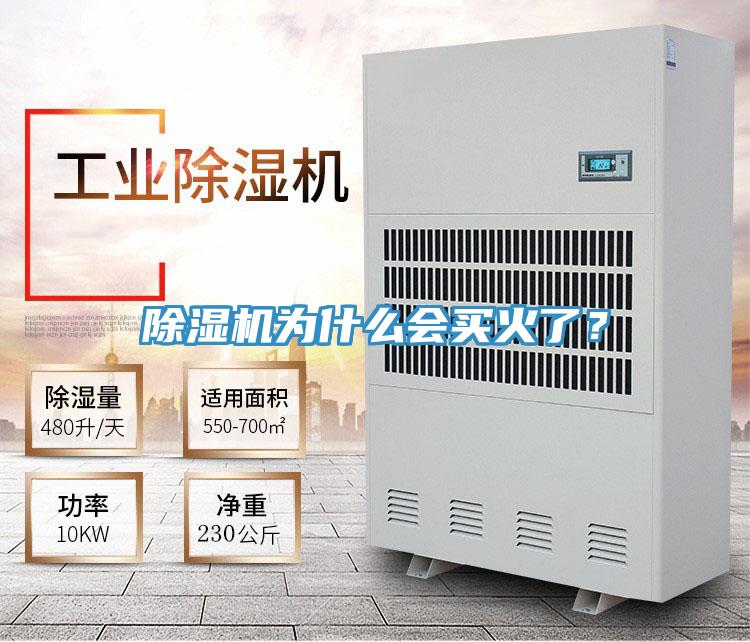 91香蕉视频下载网站为什么会买火了？